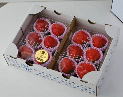 Tochiaika Strawberry | Deluxe Grade - Farm Direct | Tochigi Prefecture | Ichiban