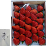 Yume Strawberry | Tokushima Prefecture