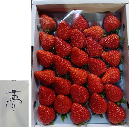 Yume Strawberry | Tokushima Prefecture