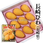 Biwa (Loquat) | Premium Grade - Akashu | Nagasaki Prefecture | 2L Size
