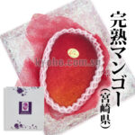 Miyazaki “Ripe Mango” | Miyazaki Prefecture | A Grade 3L Size