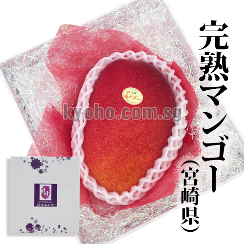 Miyazaki “Ripe Mango” | Miyazaki Prefecture | A Grade 3L Size