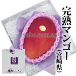 Miyazaki "Ripe Mango" | Miyazaki Prefecture | A Grade 4L Size