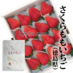 SAKURA MOMO Strawberry | Tokushima Prefecture | 16 Pcs