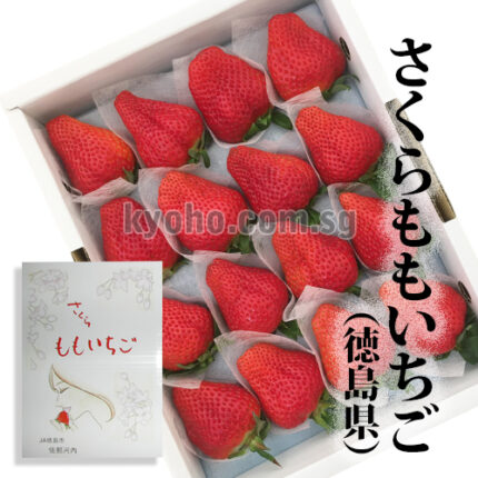 SAKURA MOMO Strawberry | Tokushima Prefecture | 16 Pcs