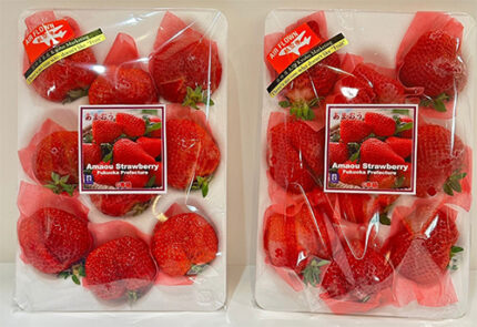 Amaou Strawberry | "G" Grade | Fukuoka Prefecture | 9 Pcs Tray