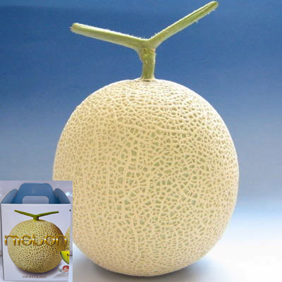 Arus Melon | Miyazaki Prefecture | 1.5kg