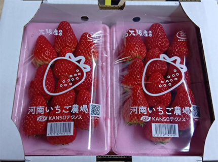 Benihoppei Strawberry (High Quality) | Osaka City