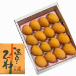 Biwa (Loquat) | Kagoshima Prefecture | 12 Pcs