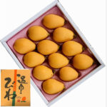 Biwa (Loquat) | Kagoshima Prefecture | L Size 12 Pcs