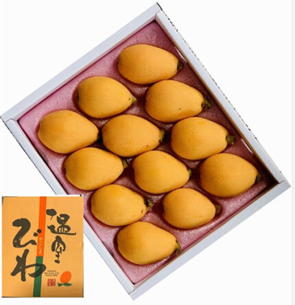 Biwa (Loquat) | Kagoshima Prefecture | L Size 12 Pcs