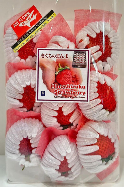 Hinoshizuku Strawberry (With Branches) | Kumamoto Prefecture | 9 Pcs Tray
