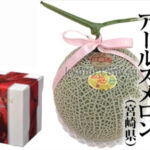 Large Red Flesh Musk Melon (Earl's Melon Variety) | Miyazaki Prefecture | 1.4kg-1.6kg
