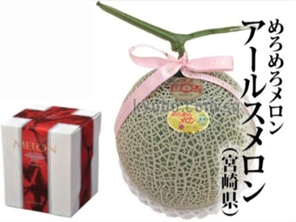 Large Red Flesh Musk Melon (Earl's Melon Variety) | Miyazaki Prefecture | 1.4kg-1.6kg