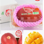Miyazaki "Ripe Mango" | Miyazaki Prefecture | A Grade 4L Size