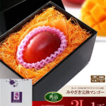 Miyazaki “Ripe Mango” | Miyazaki Prefecture | A Grade 2L Size