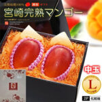 Miyazaki “Ripe Mango” | Miyazaki Prefecture | A Grade L Size