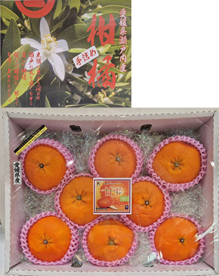 "Seto Island Sea Grown" Kanpei Mikan | Ehime Prefecture | Gift Box 8 Pcs