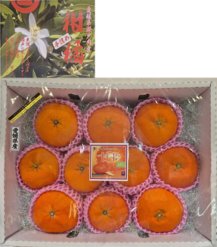 "Seto Island Sea Grown" Kanpei Mikan | Ehime Prefecture | Gift Box 10 Pcs
