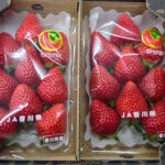 Shiodo Shima Nyoho Strawberry | Kagawa Prefecture