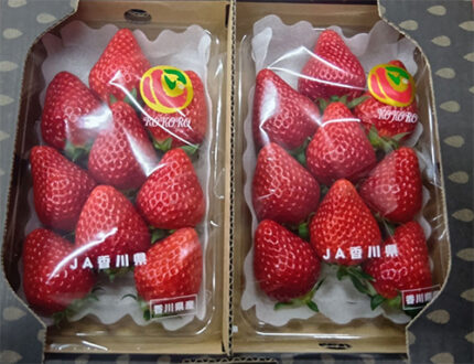 Shiodo Shima Nyoho Strawberry | Kagawa Prefecture