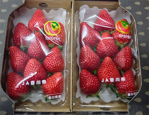 Shiodo Shima Nyoho Strawberry | Kagawa Prefecture