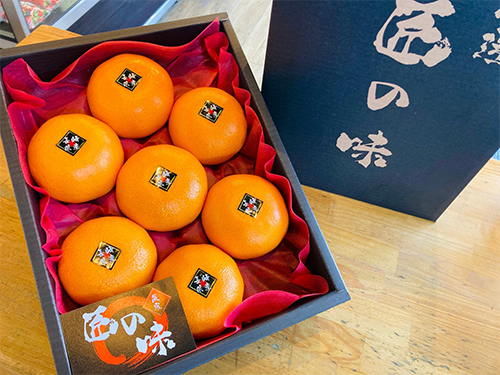 "Takumi no Aji" Setoka Orange | Nagasaki Prefecture