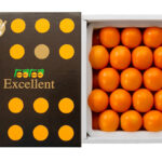 Tama Tama Kinkan "Excellent" Grade | Miyazaki Prefecture | 3L Size