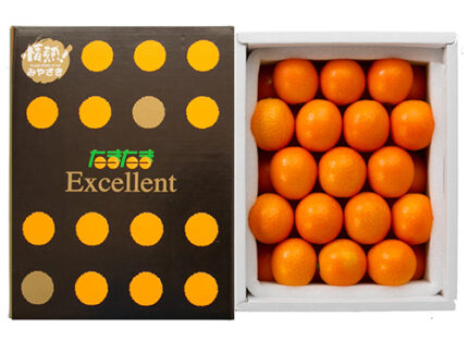 Tama Tama Kinkan "Excellent" Grade | Miyazaki Prefecture | 3L Size