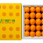 Tama Tama Kinkan | Miyazaki Prefecture | 2L Size 1kg