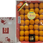 Tama Tama Kinkan | Miyazaki Prefecture | 2L Size 50 Pcs