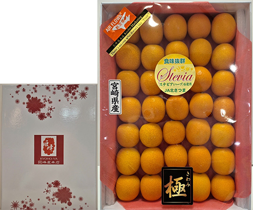 Tama Tama Kinkan | Miyazaki Prefecture | 2L Size 50 Pcs