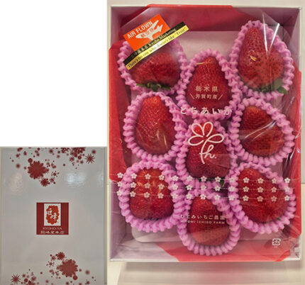 Tochiaika Strawberry | Deluxe Grade - Farm Direct | Tochigi Prefecture | Ichiban 9 Pcs