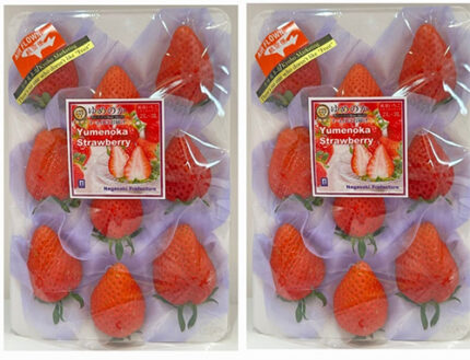 Yumenoka Strawberry | Tokushima Prefecture | 9 Pcs Tray