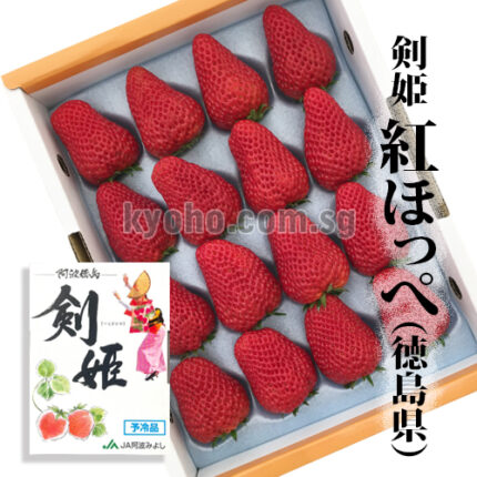 Tsurugihime Strawberry "Benihoppe Variety" | Tokushima Prefecture | 16 Pcs
