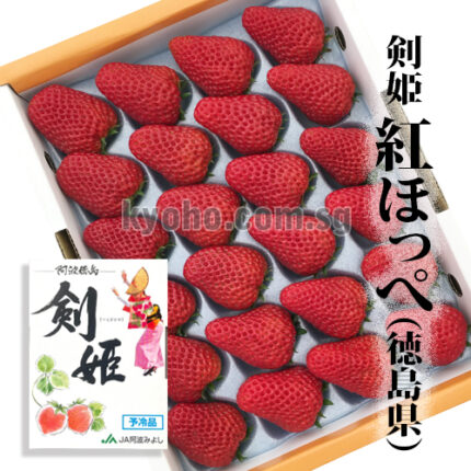 Tsurugihime Strawberry "Benihoppe Variety" | Tokushima Prefecture | 24 Pcs