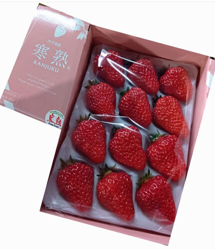 Benihoppei Strawberry (Kanjuku) | Aichi Prefecture