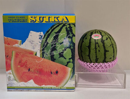 Small Size Watermelon "Hitojime" | Kumamoto Prefecture | L Size