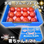 Kimichan Fruits Tomato | Tochigi Prefecture