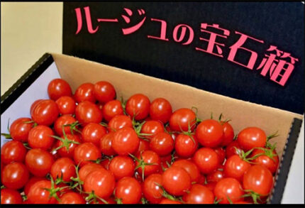Fruits Mini Tomato "Rouge's Jewel Box" | High Sugar Level | Gunma Prefecture