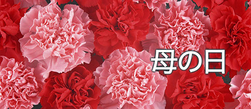 Mother's Day Special