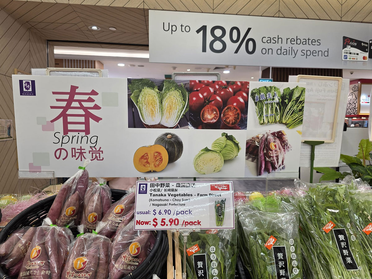 Spring Season Delicacies