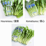 Tanaka Vegetables | Farm Direct | Nagasaki Prefecture