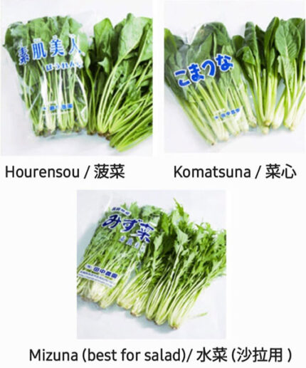 Tanaka Vegetables | Farm Direct | Nagasaki Prefecture