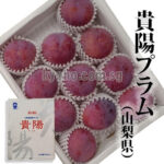 Kiyou Plum (Top Quality) | Yamanashi Prefecture | 11 Pcs