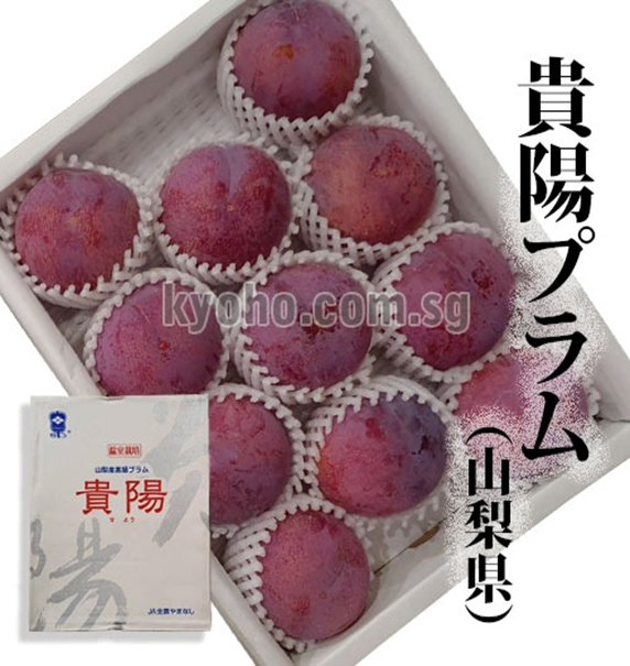 Kiyou Plum (Top Quality) | Yamanashi Prefecture | 11 Pcs