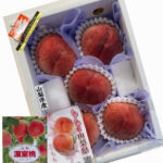 House Grown Peach | Yume Mizuki Variety | Yamanashi Prefecture | 5 Pcs