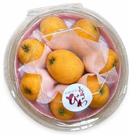 Biwa (Loquat) | Premium Grade - Akashu | Nagasaki Prefecture | M Size Tub