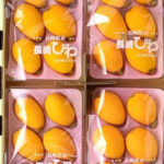 Biwa (Loquat) | Premium Grade - Akashu | Nagasaki Prefecture | L Size 6 Pcs