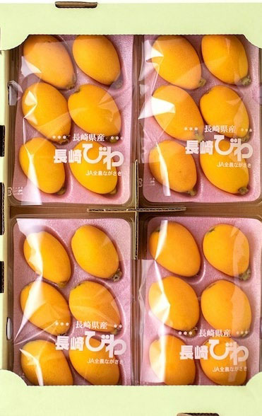 Biwa (Loquat) | Premium Grade - Akashu | Nagasaki Prefecture | L Size 6 Pcs